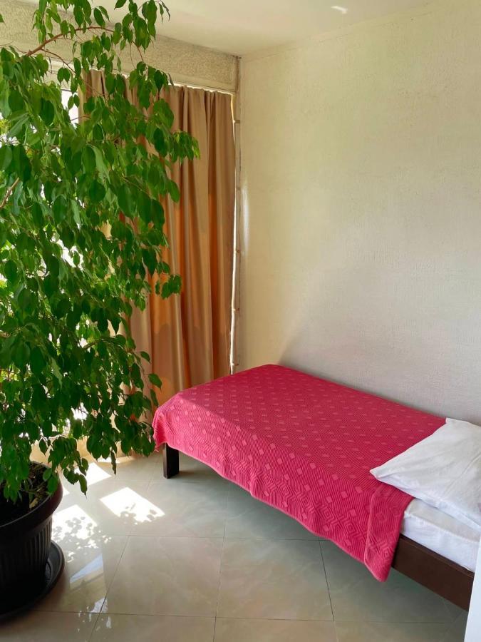 Apartmani Mina Herceg Novi Ngoại thất bức ảnh